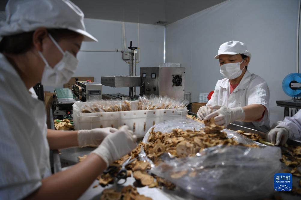 官方网投平台